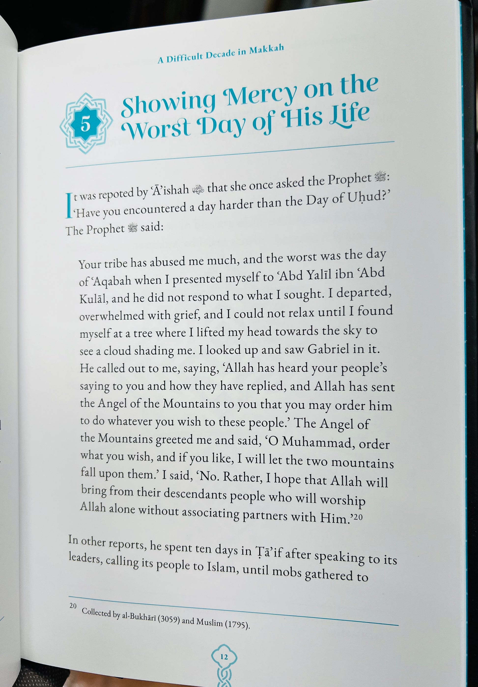 The Prophet of Mercy by Mohammad Elshinawy and Omar Suleiman (Lessons from the Seerah)