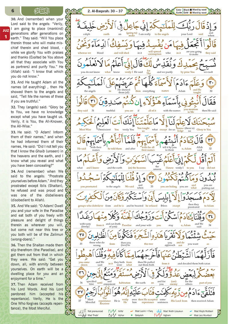 Maqdis Quran Noble Word to Word English Translation Color Coded Tajweed - A5 Small