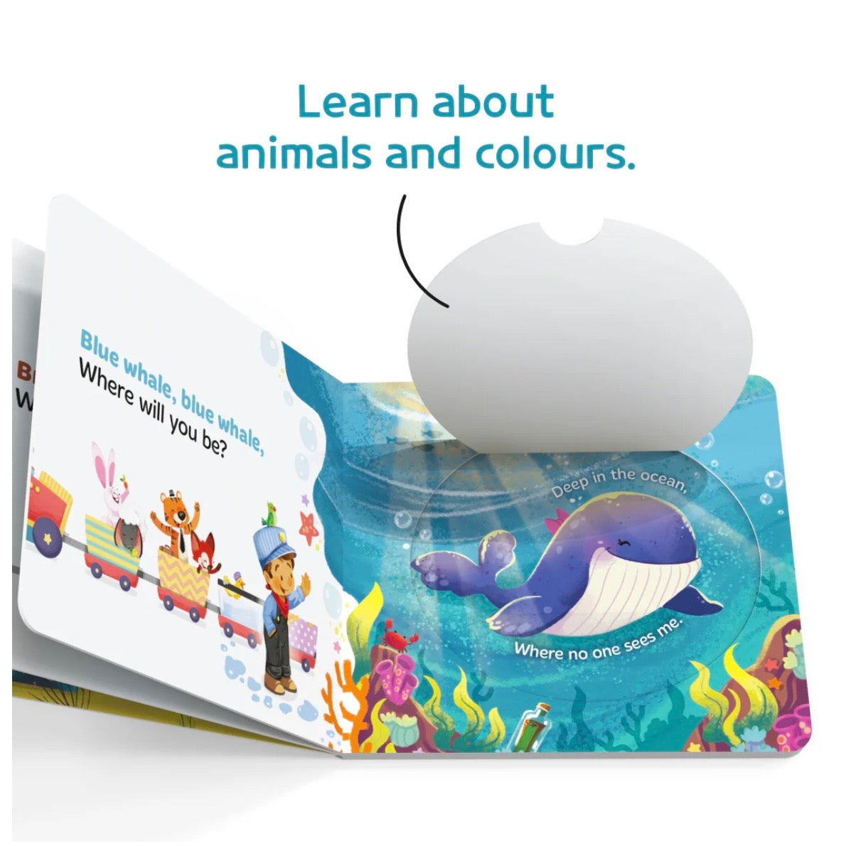 Allah Sees You and Me Board Book