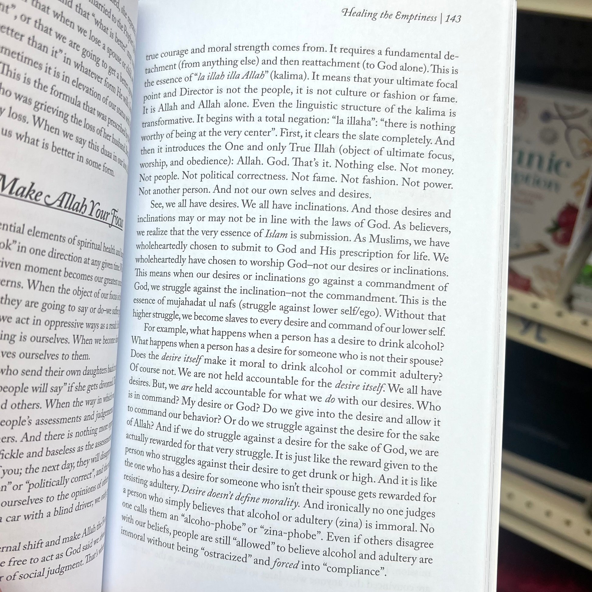 Healing the Emptiness - A Guide to Emotional and Spiritual Well-Being