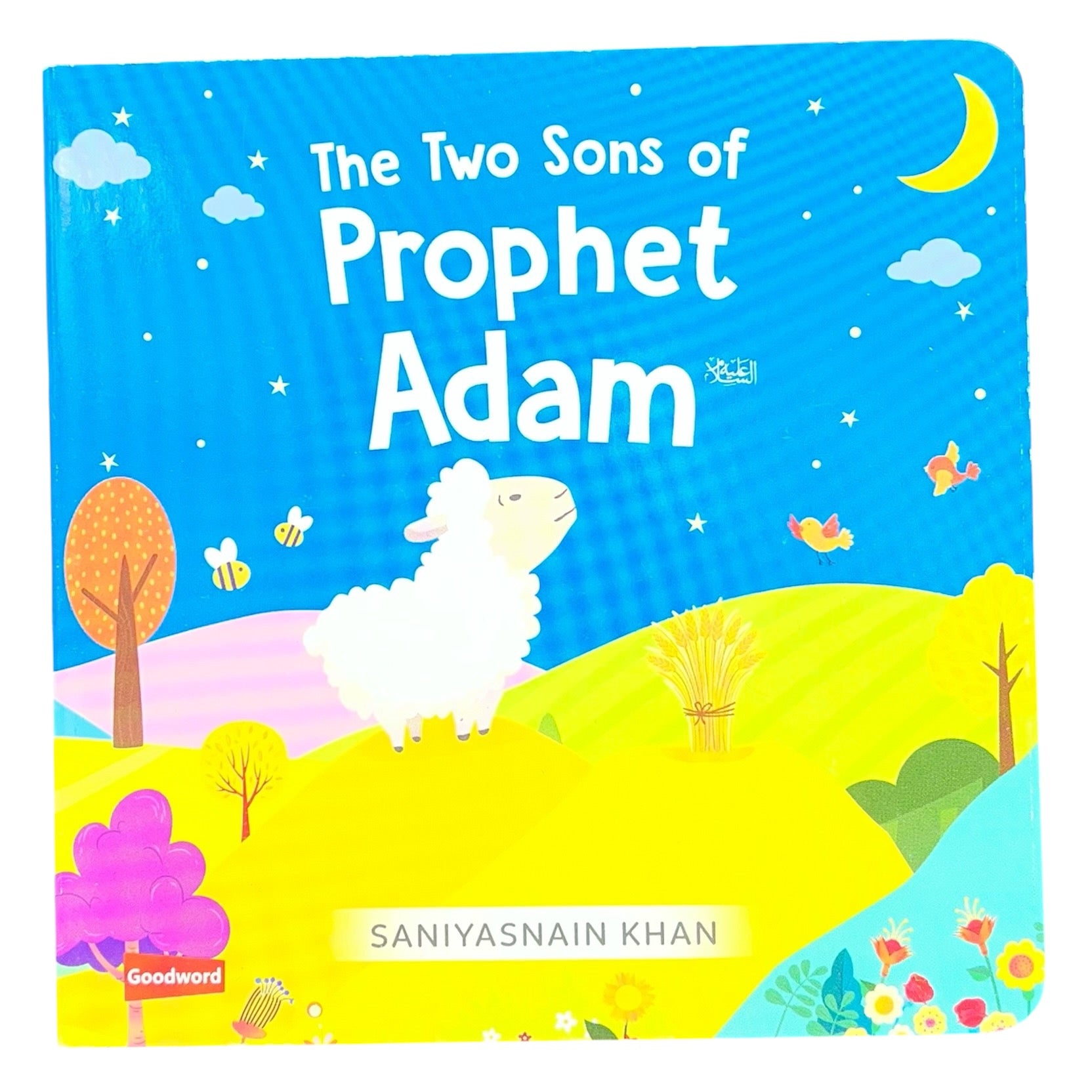 The Two Sons of Prophet Adam Board Book