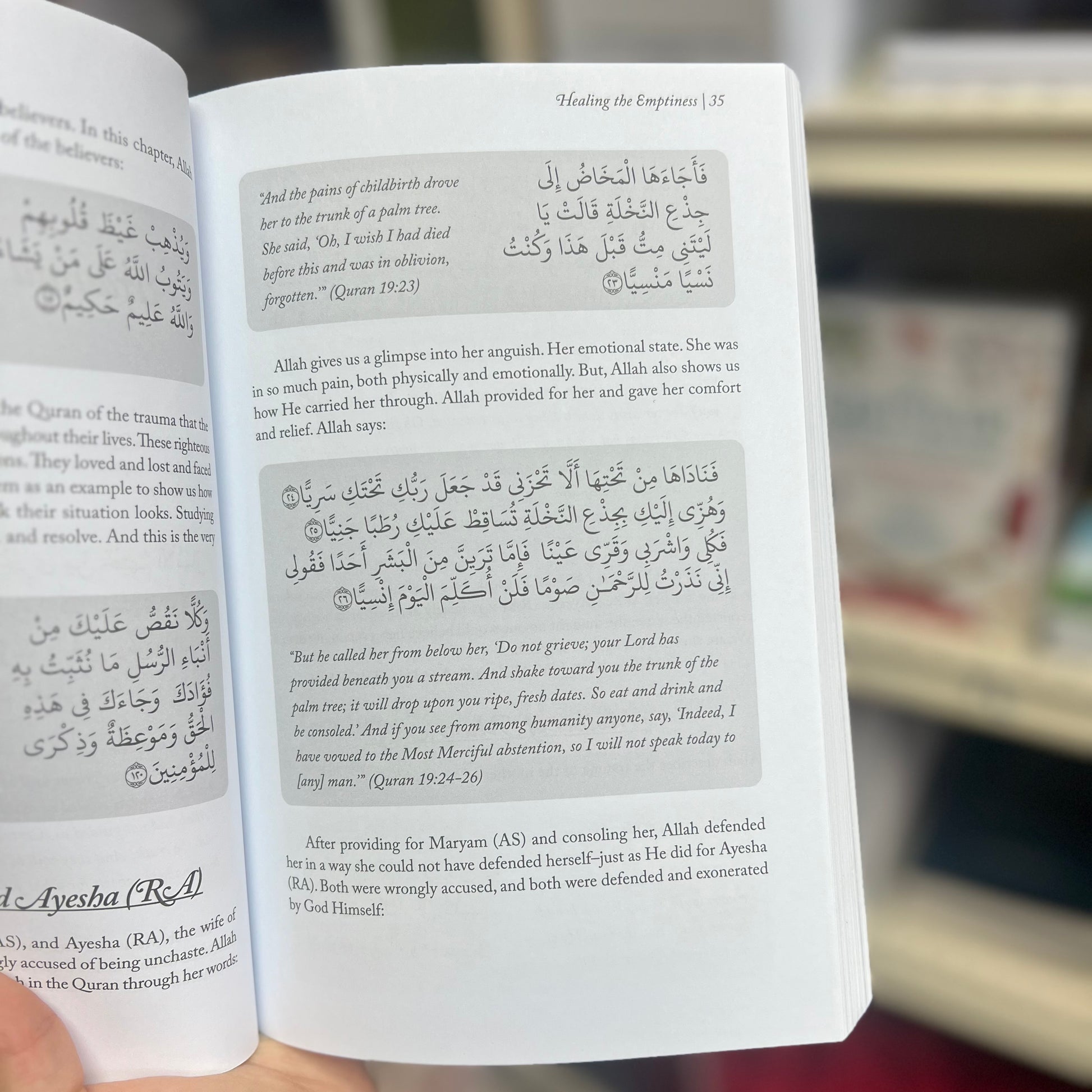 Healing the Emptiness - A Guide to Emotional and Spiritual Well-Being