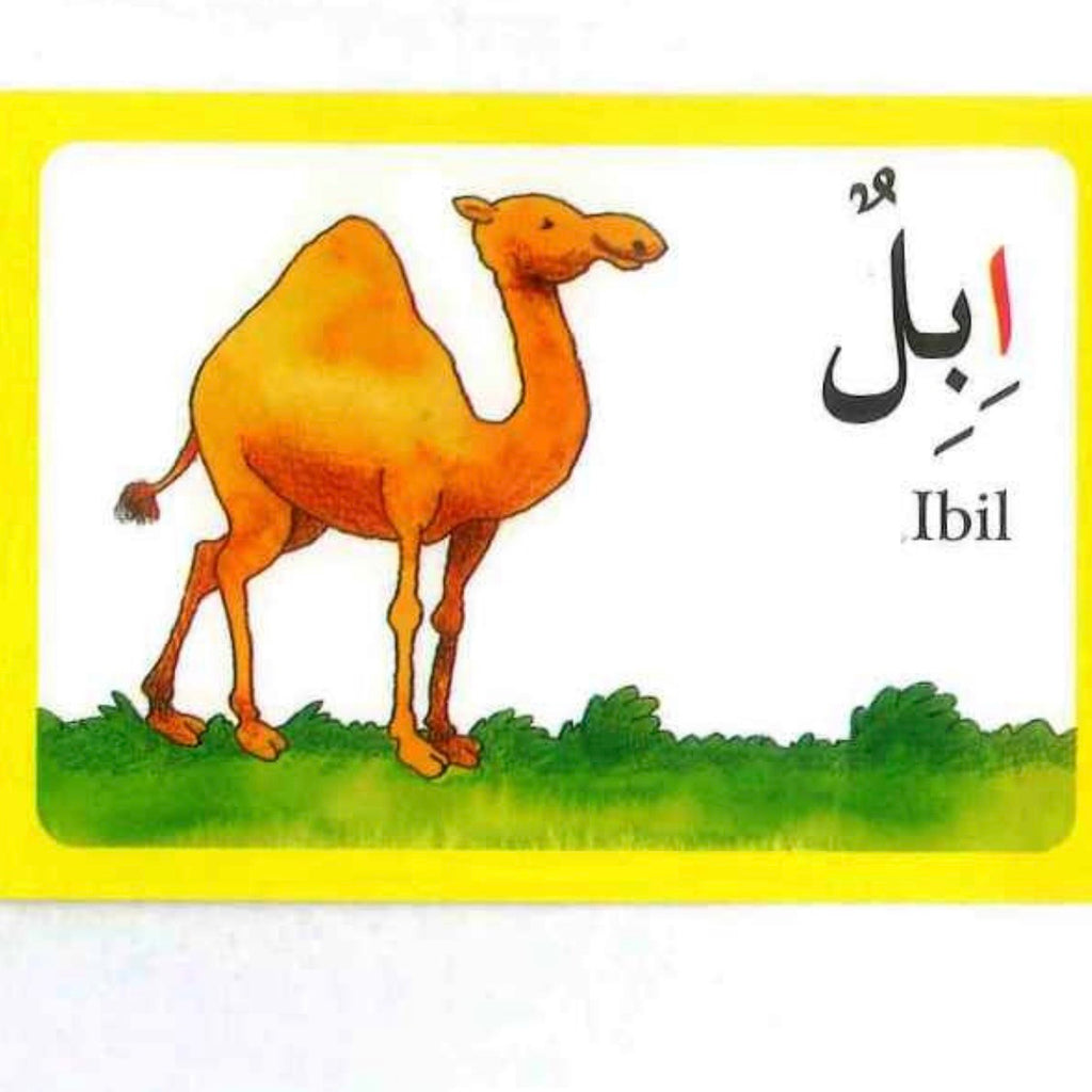 Arabic Alphabet Flash Cards Flashcards - 28 cards
