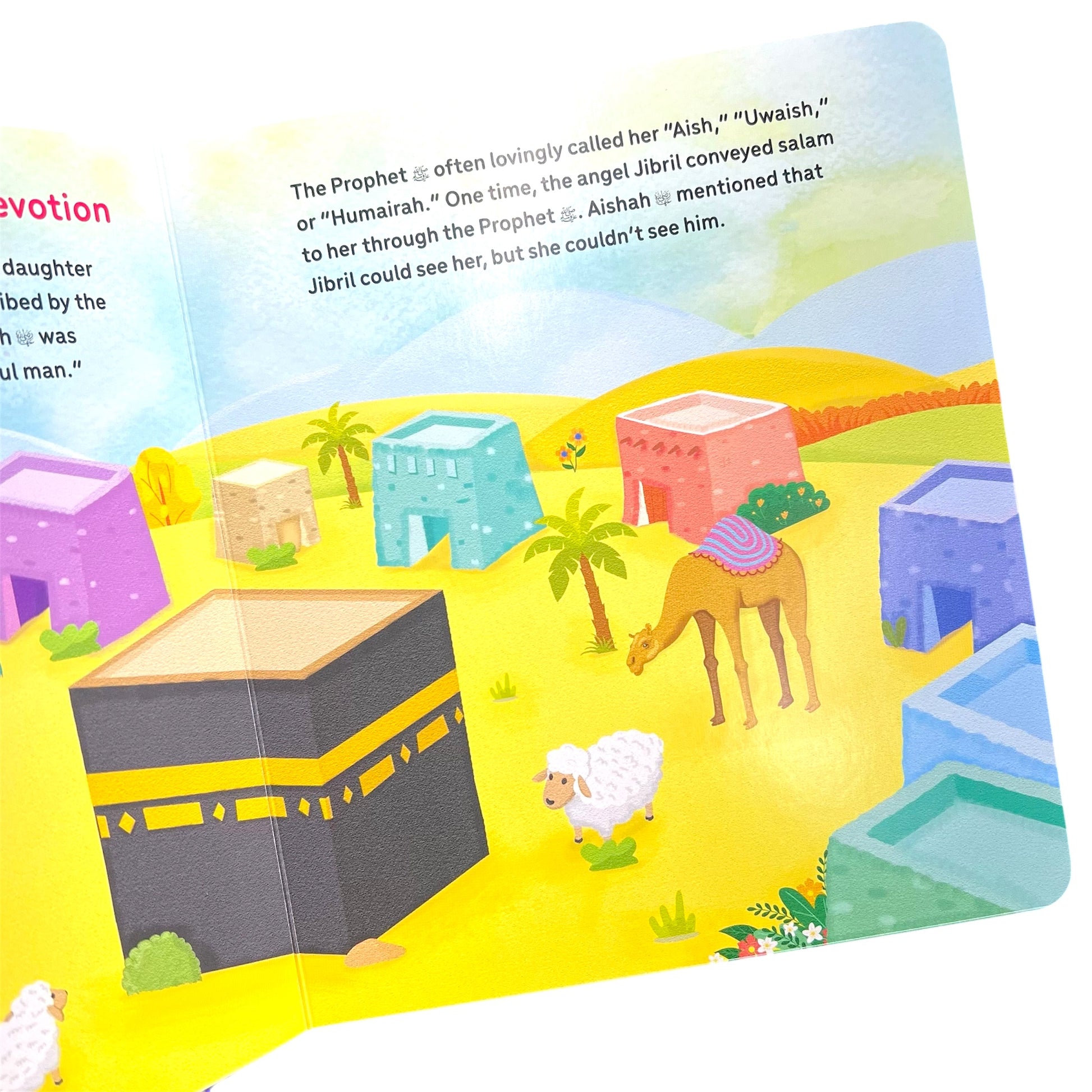 Aishah Bint Abu Bakr Board Book