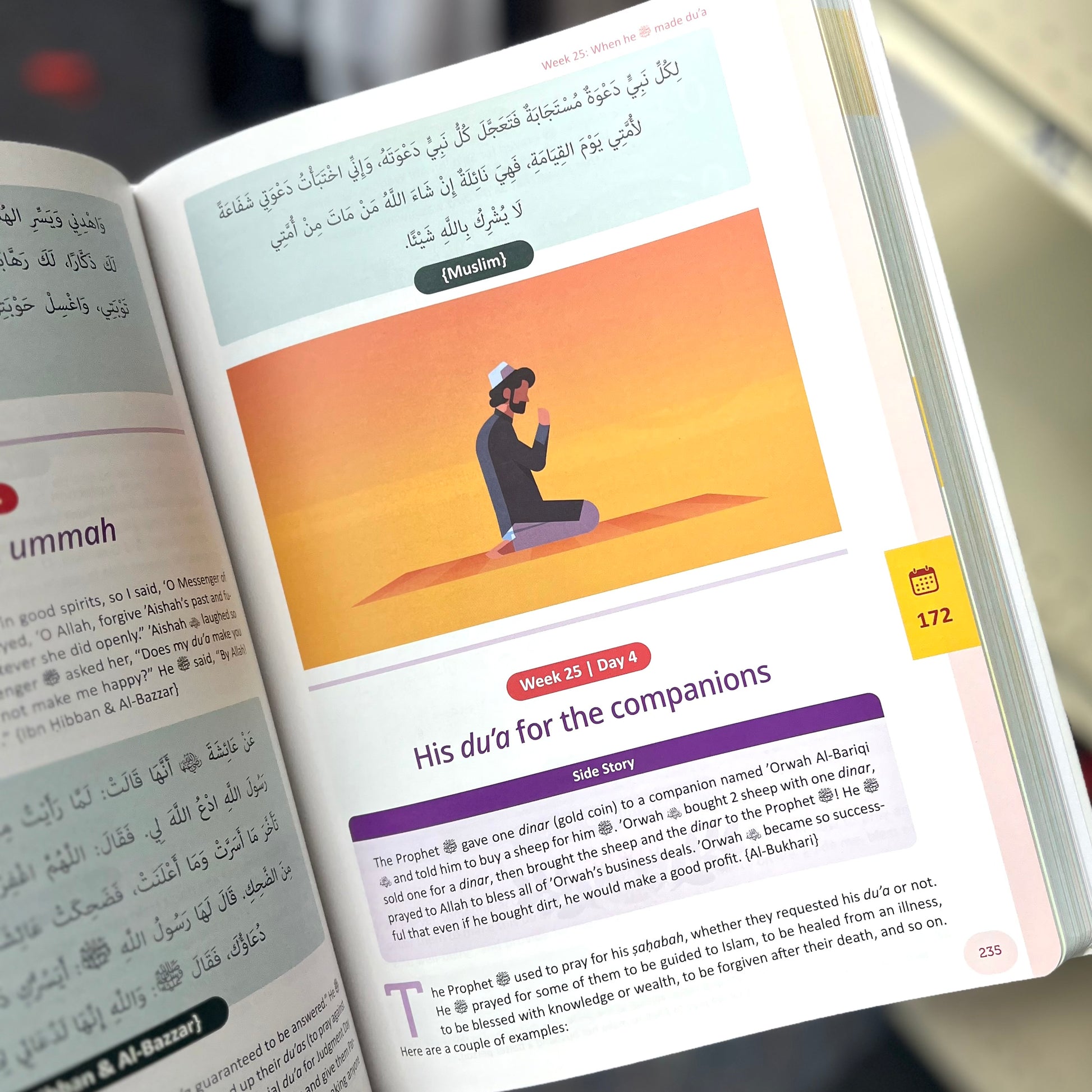 The Clear Sirah for KIDS - 365 Days with the Prophet (52 Weekly Themes)