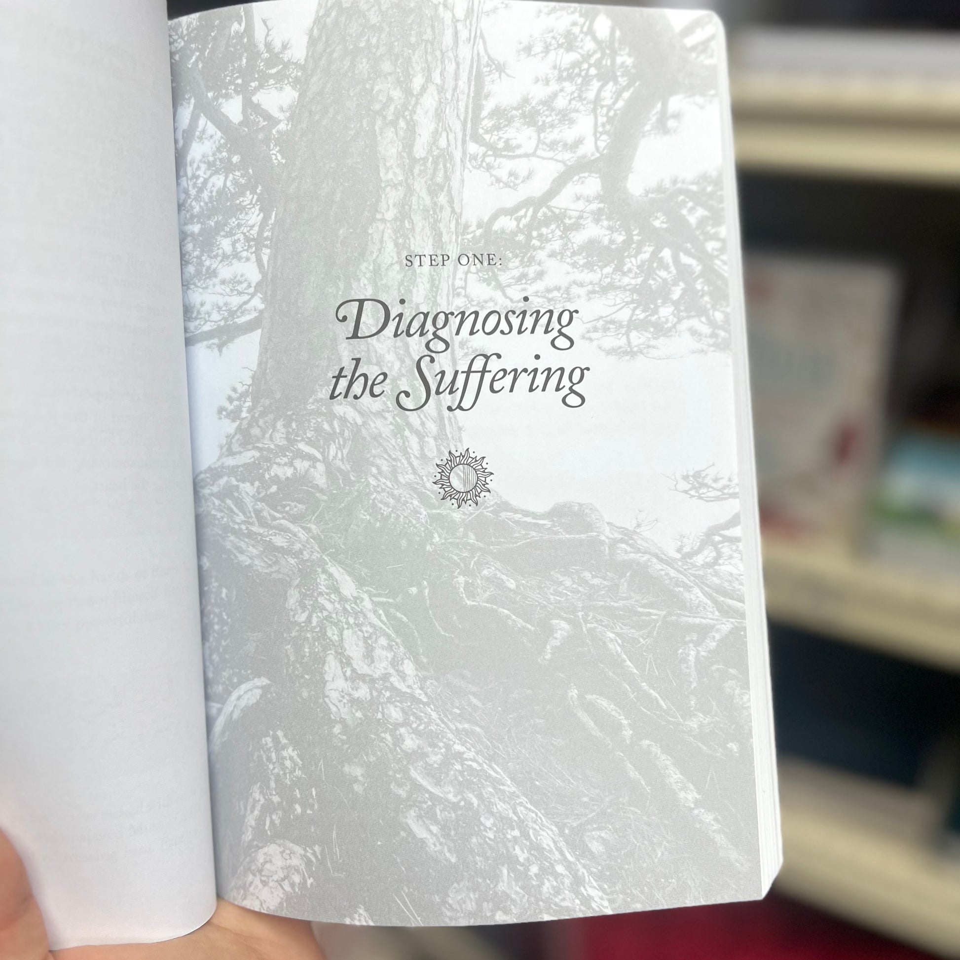 Healing the Emptiness - A Guide to Emotional and Spiritual Well-Being