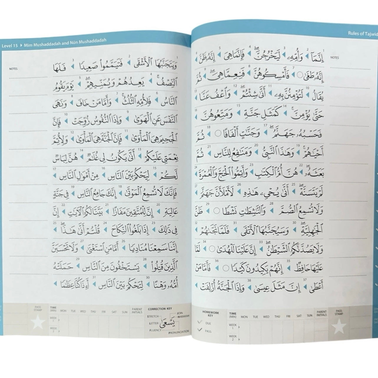 Rules of Tajwid (Madinah Script) Quran Learning to Read Series NEW