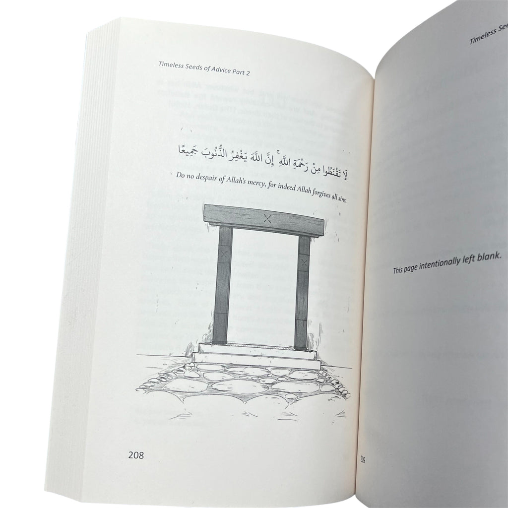 Timeless Seeds of Advice Part 2: Deeper Reflections