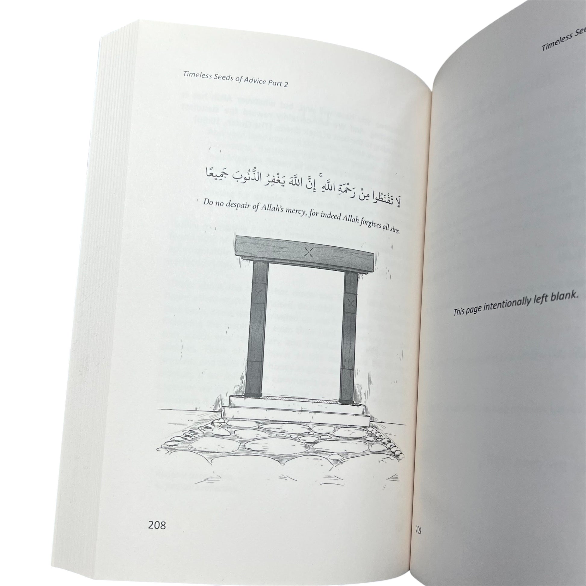 Timeless Seeds of Advice Part 2: Deeper Reflections