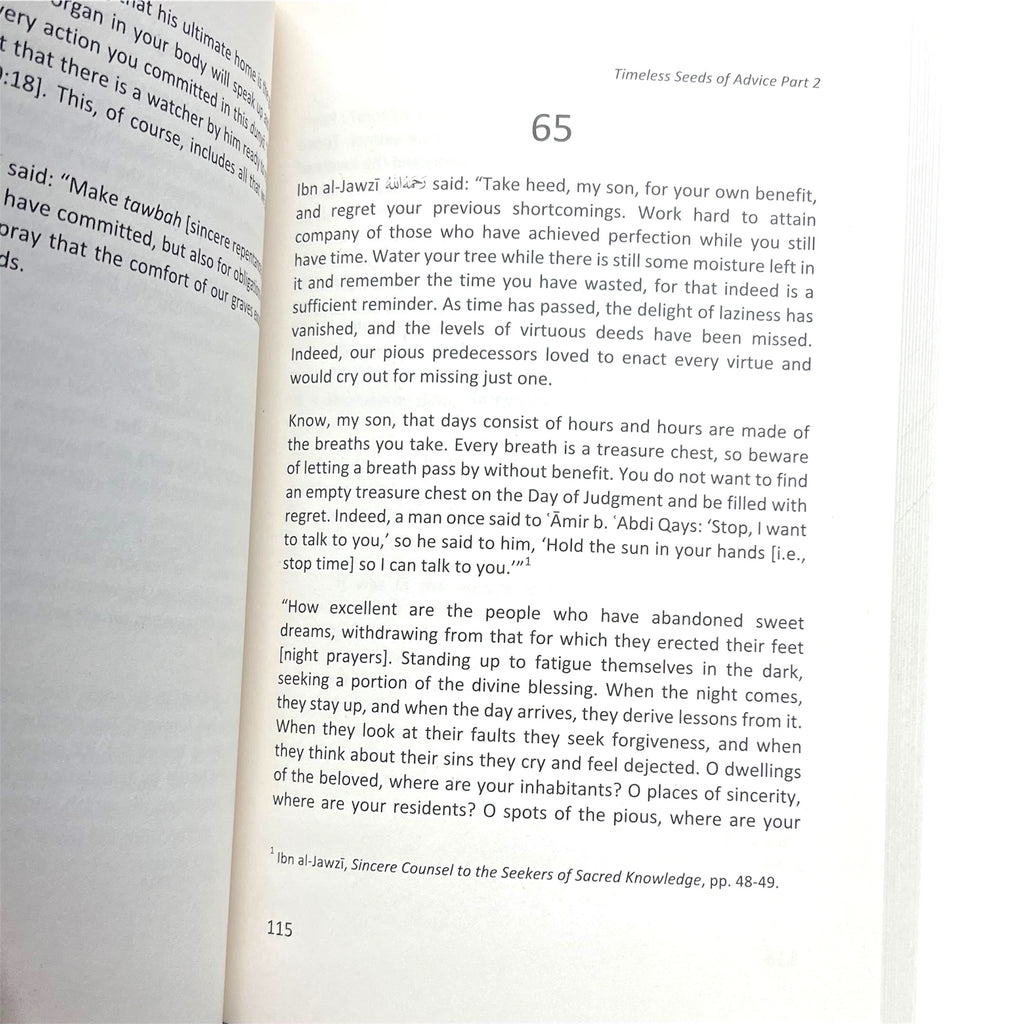 Timeless Seeds of Advice Part 2: Deeper Reflections