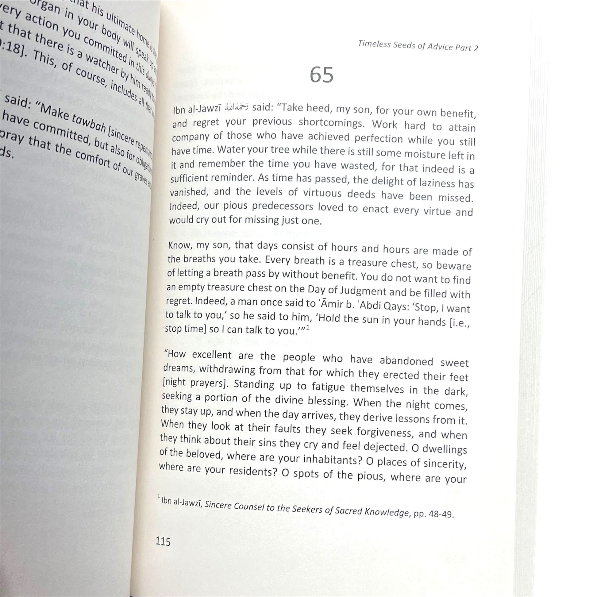 Timeless Seeds of Advice Part 2: Deeper Reflections