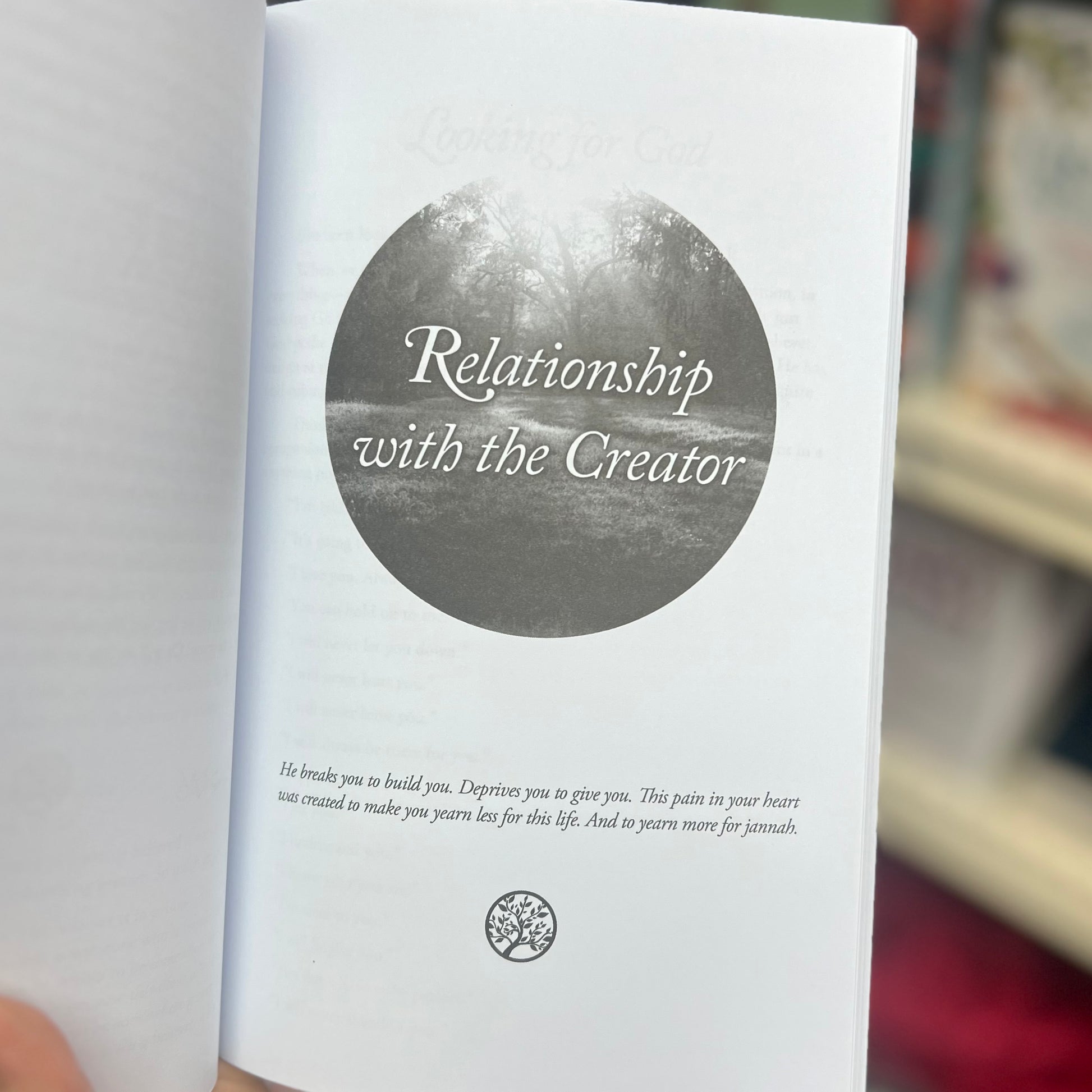 Reclaim your Heart - Personal Insight on Breaking Free from Life’s Shackles