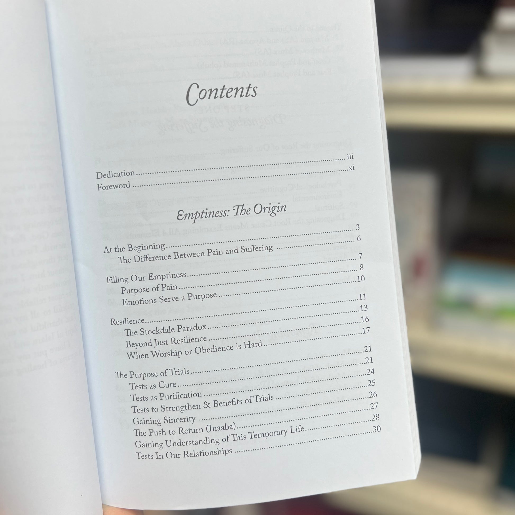 Healing the Emptiness - A Guide to Emotional and Spiritual Well-Being