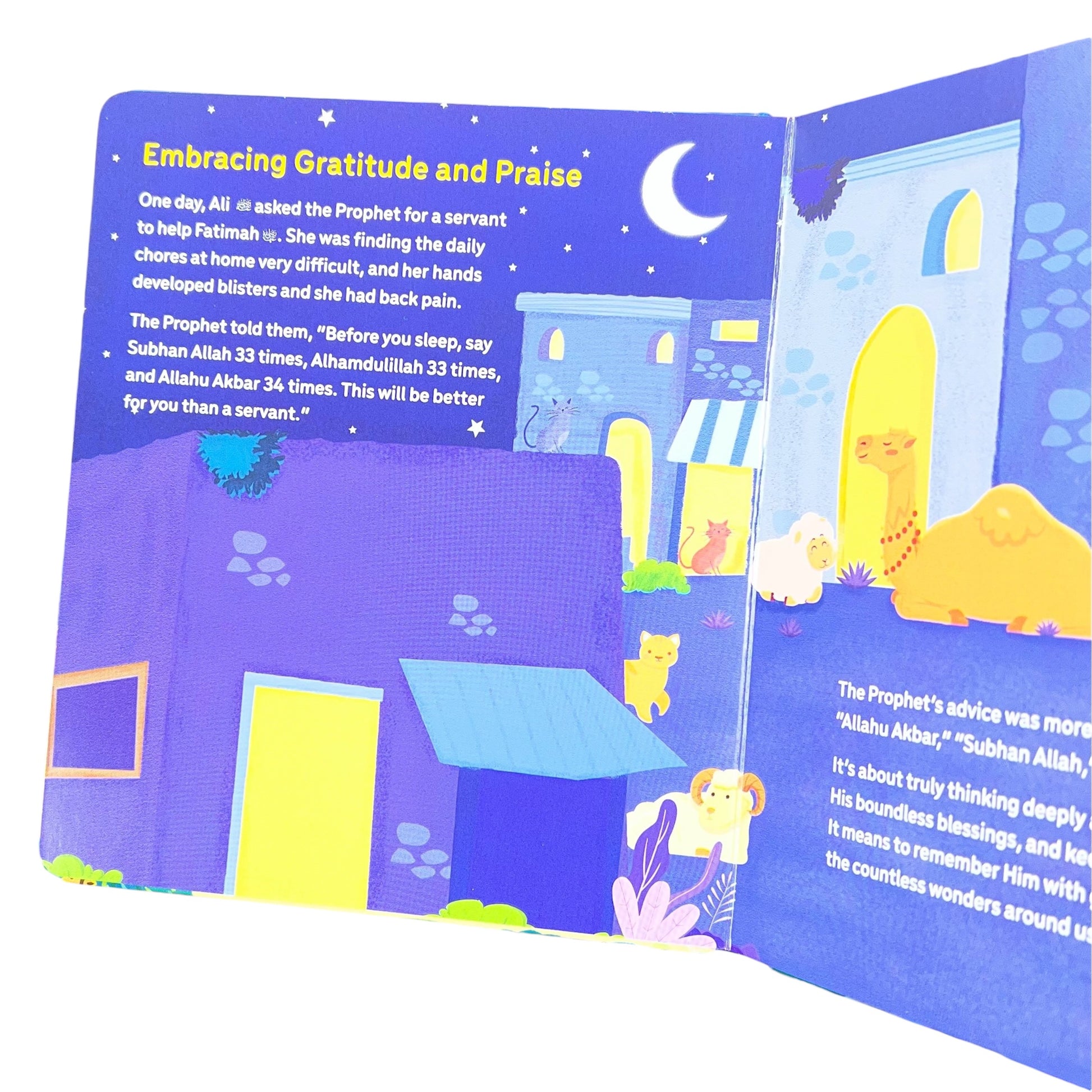 Fatima The Princess of Jannah Board Book