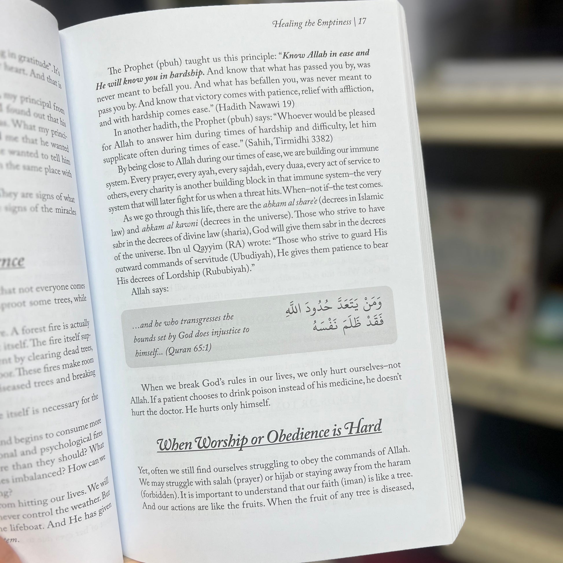 Healing the Emptiness - A Guide to Emotional and Spiritual Well-Being