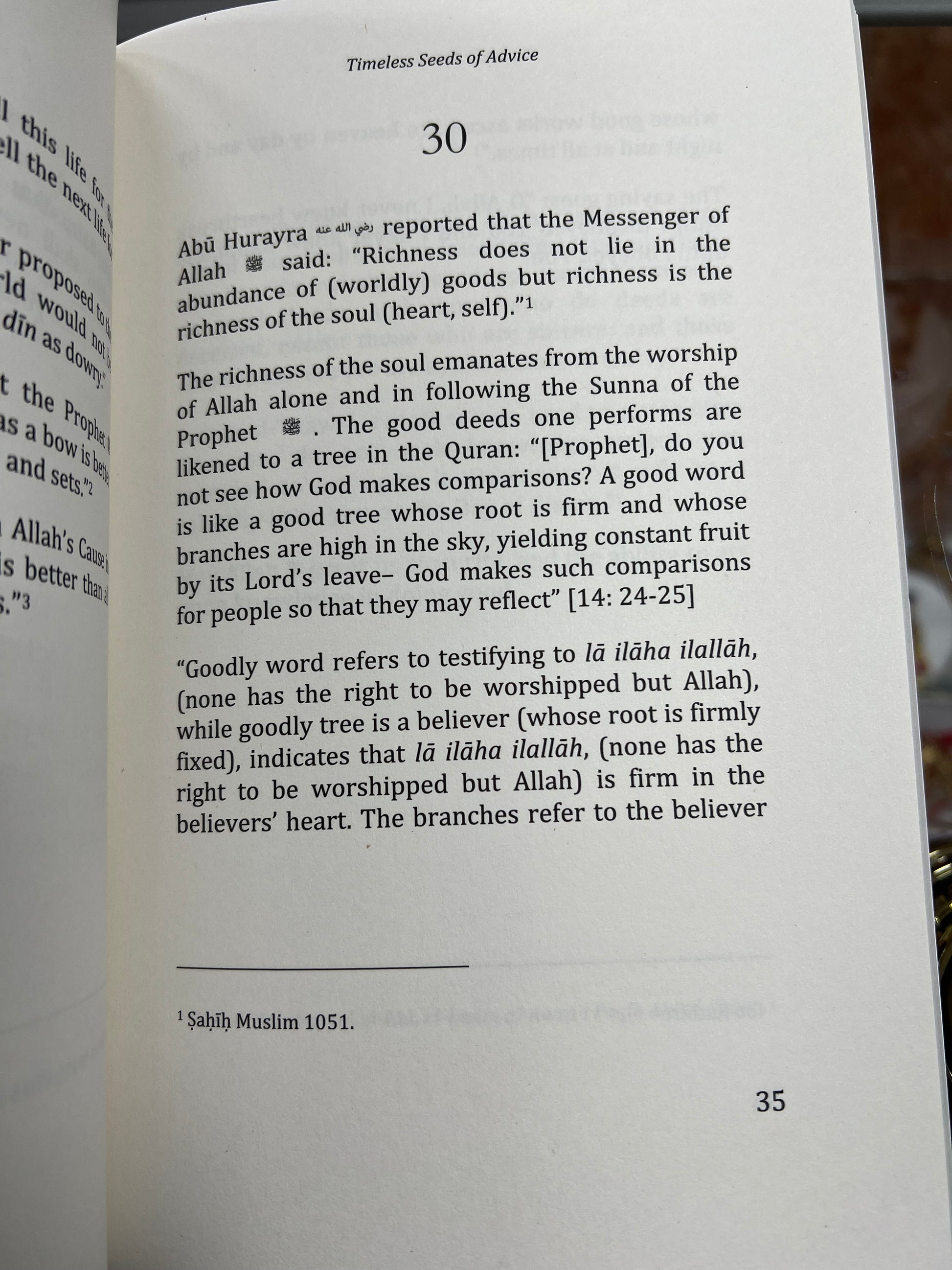 Timeless Seeds of Advice Paperback