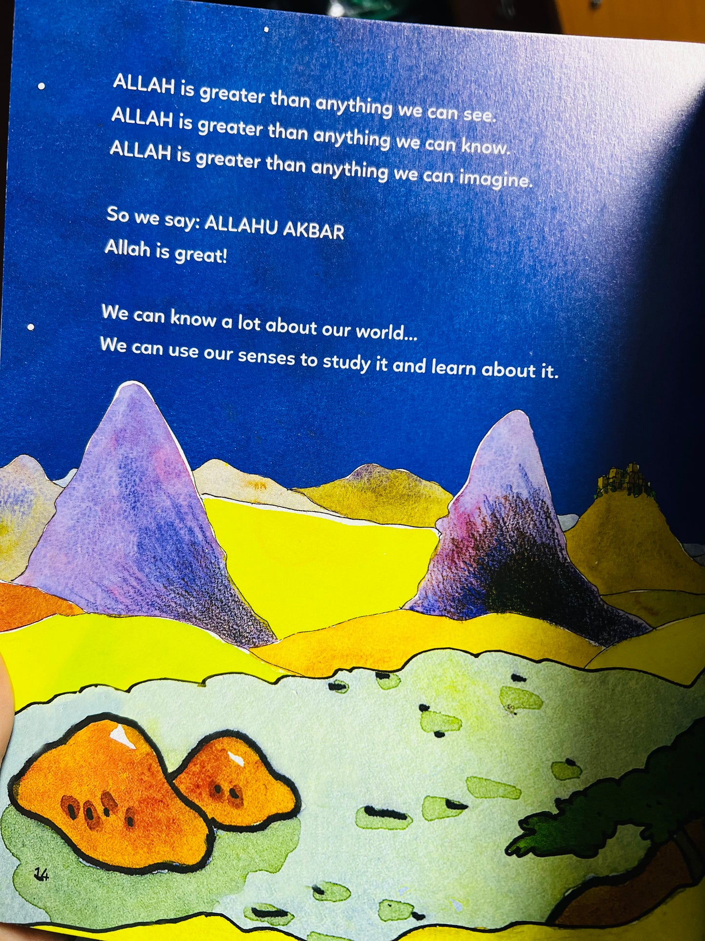 Who is Allah? (Paperback)
