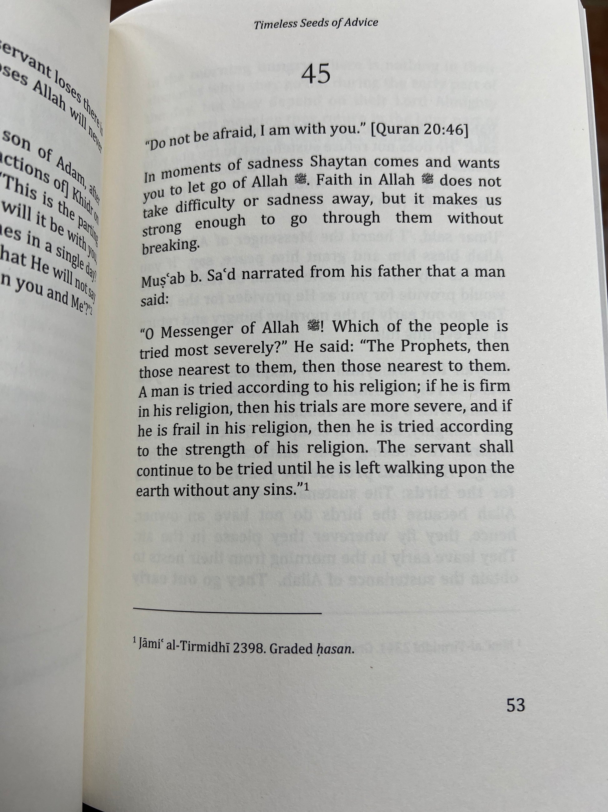 Timeless Seeds of Advice Paperback