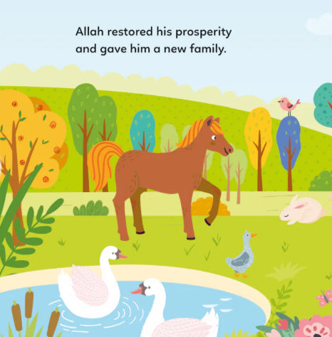 The Story of Prophet Ayyub Board Book