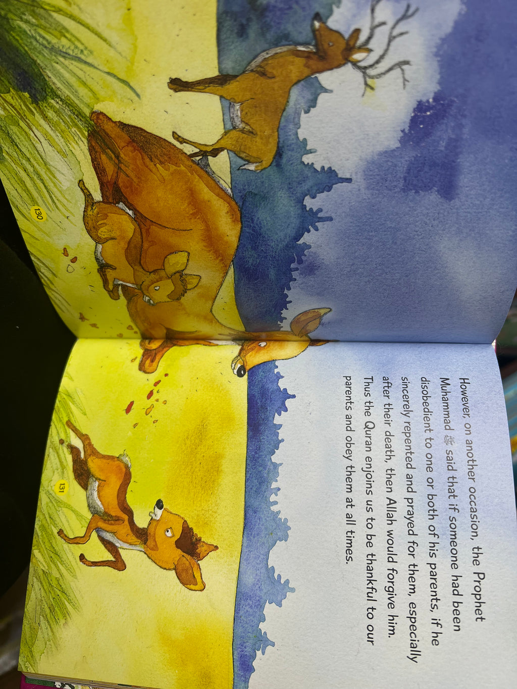 Quran and Seerah Stories (Hardback)
