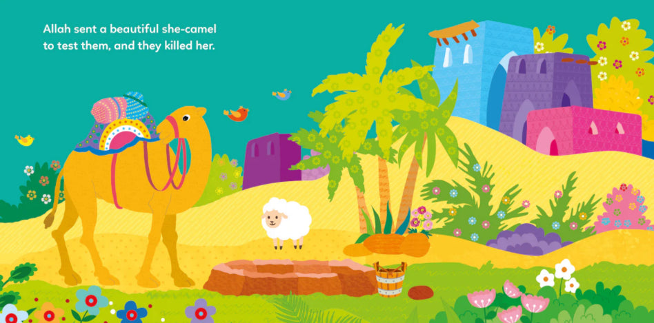 The Story of Prophet Salih Board Book