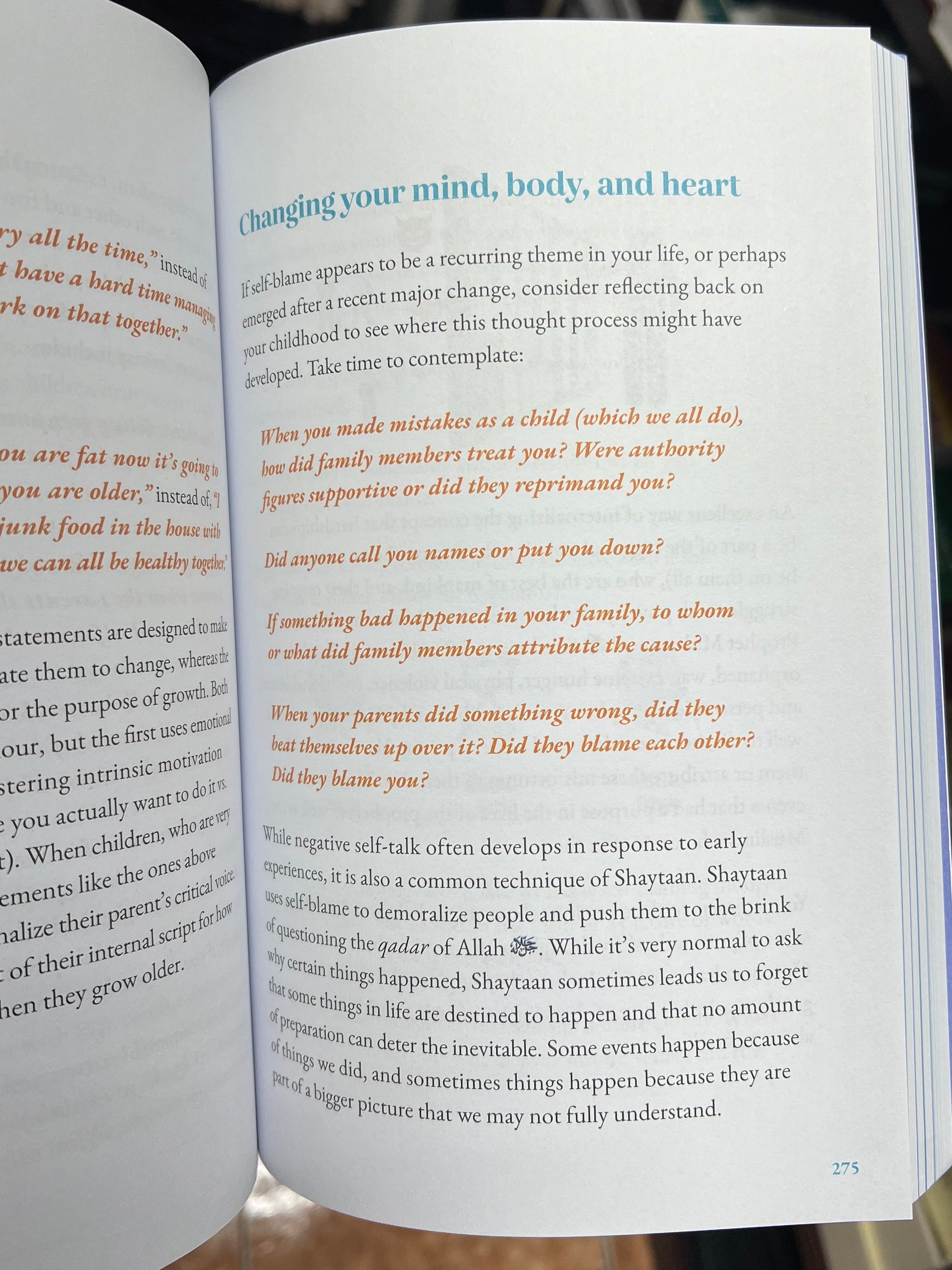 Your Lord Has Not Forsaken You