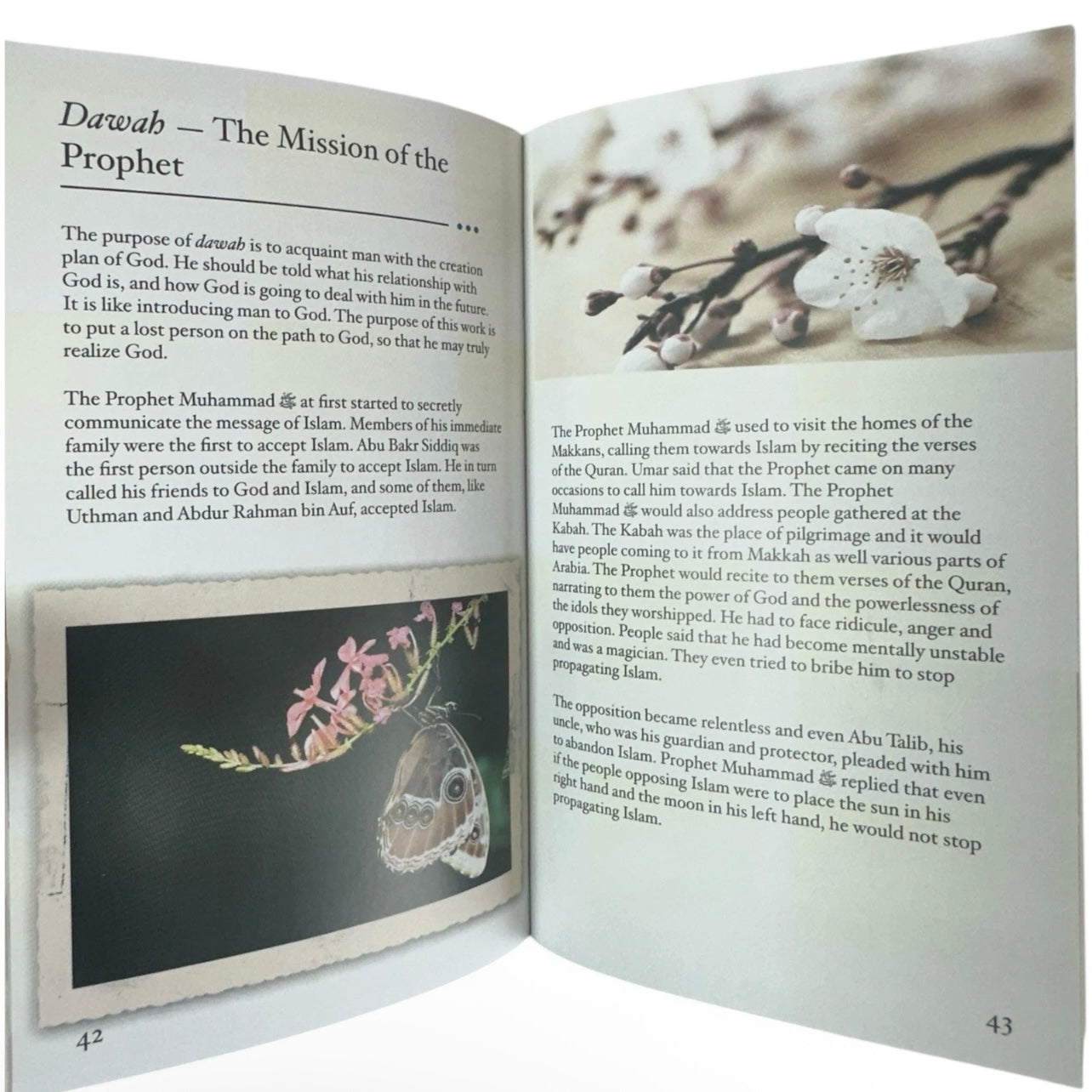 (2 PACK) The Life of the Prophet Muhammad Made Simple by Farida Khanam A Compact Guide