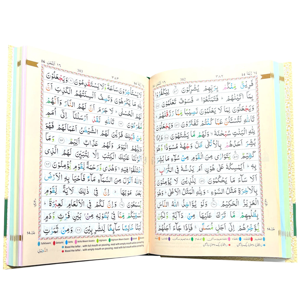 13 Line IndoPak Script Quran with Color Coded Tajweed & Storage Case – Large