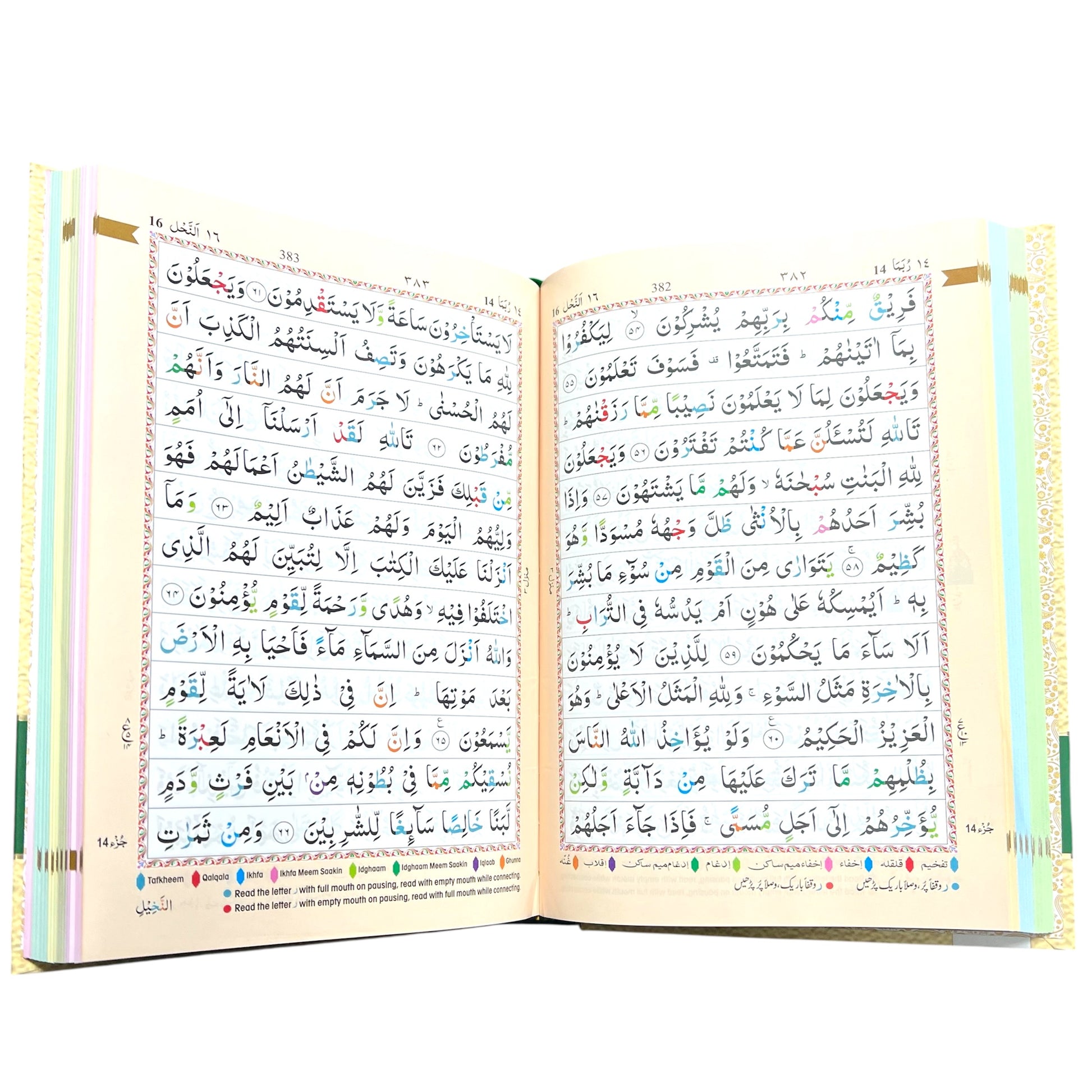 13 Line IndoPak Script Quran with Color Coded Tajweed & Storage Case – Large