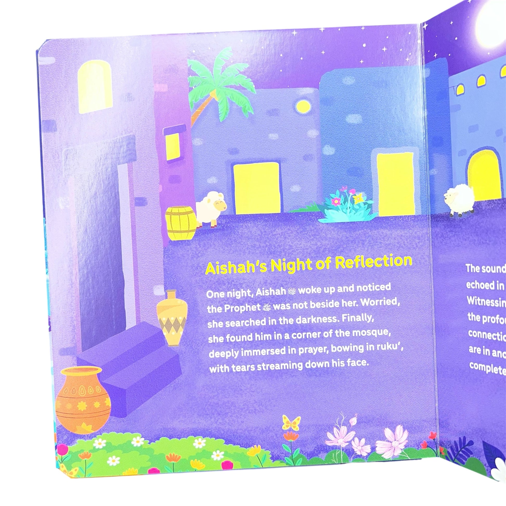 Aishah Bint Abu Bakr Board Book